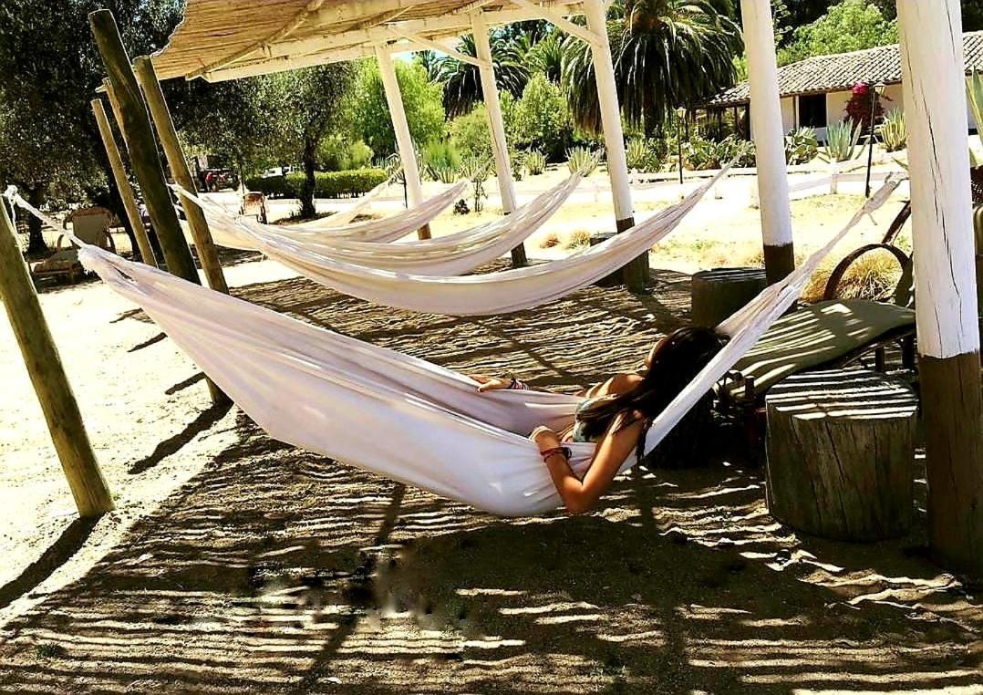 Hacienda Historica Marchigue Vendégház Marchihue Kültér fotó